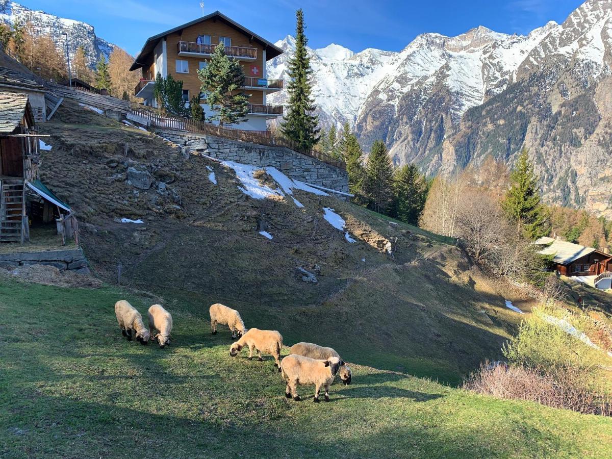 Panorama At Haus Waldheim! Nr 12 Apartment Grächen Екстериор снимка